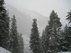 IMG_0013.JPG