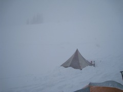 IMG_0019.JPG