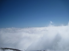 IMG_0041.JPG