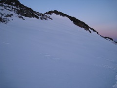 IMG_0049.JPG