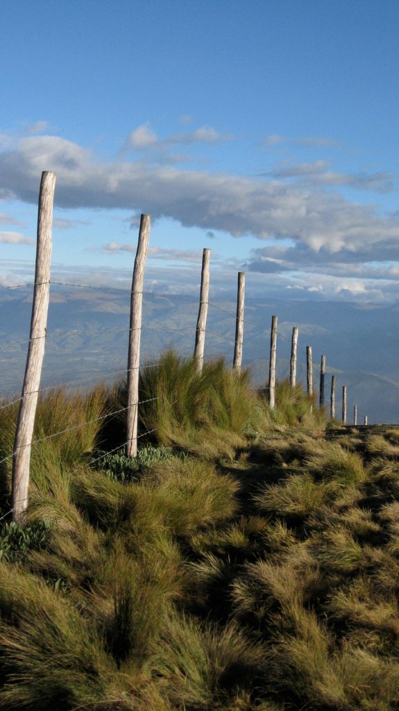 IMG_0053.JPG