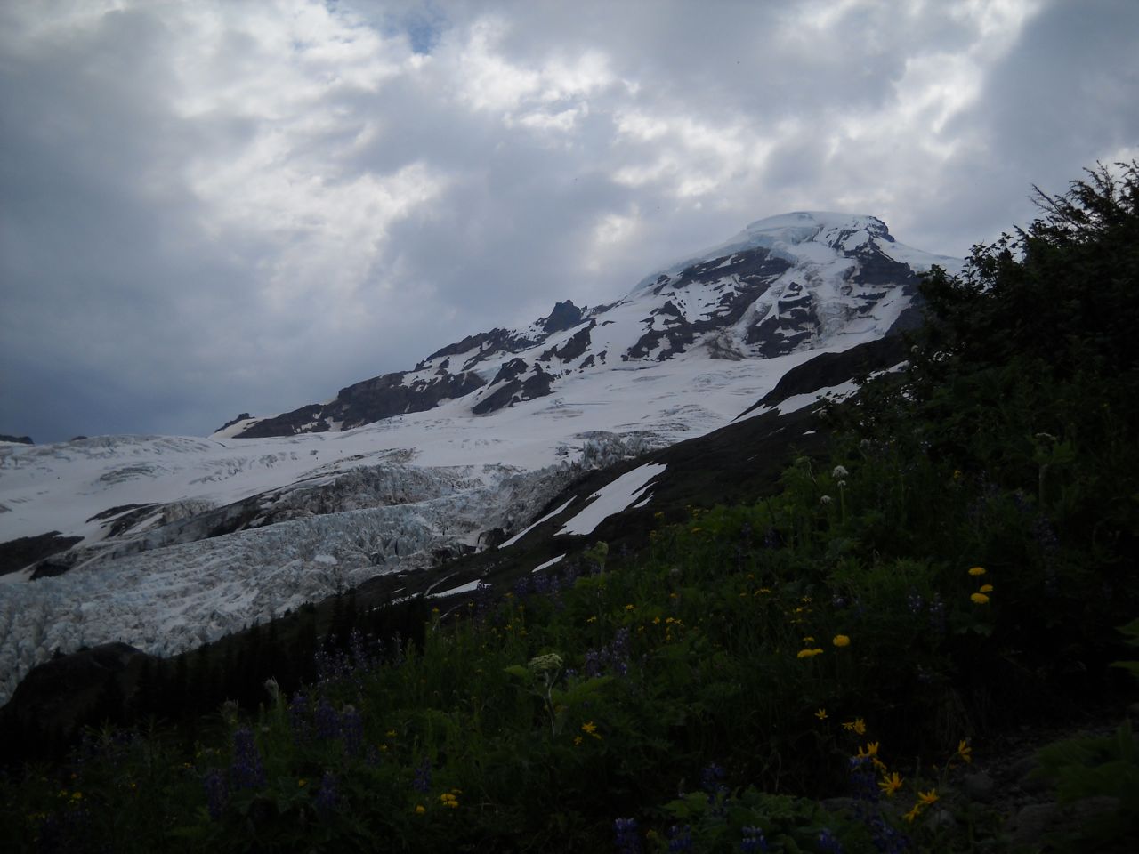DSCN0481