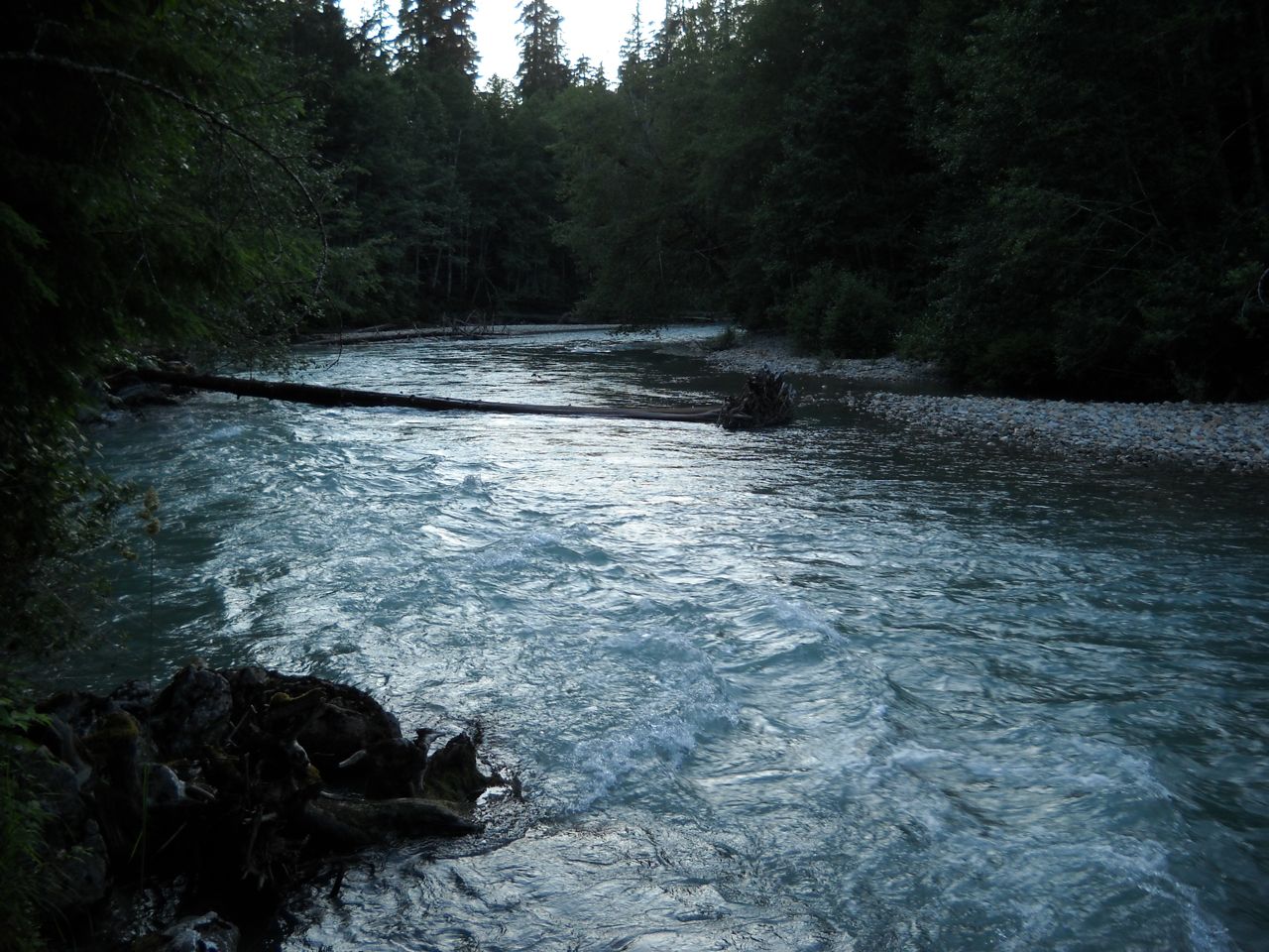 DSCN0344