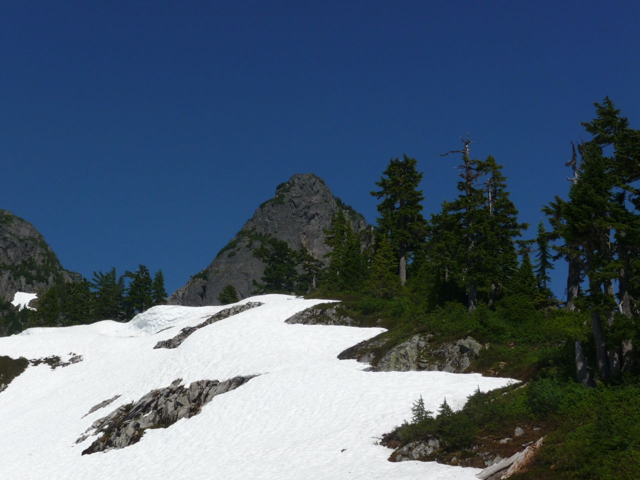 P1000928