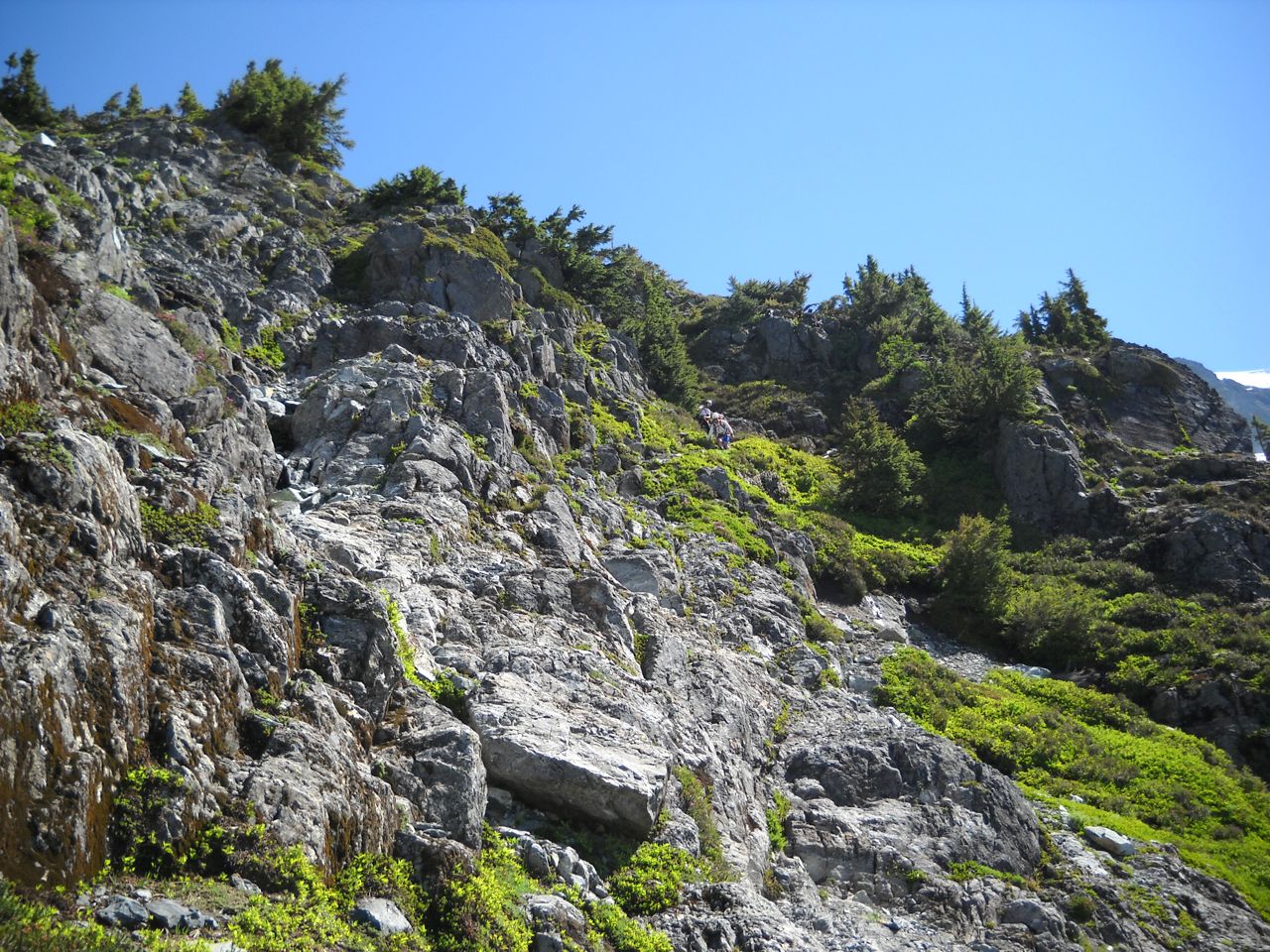 DSCN0426