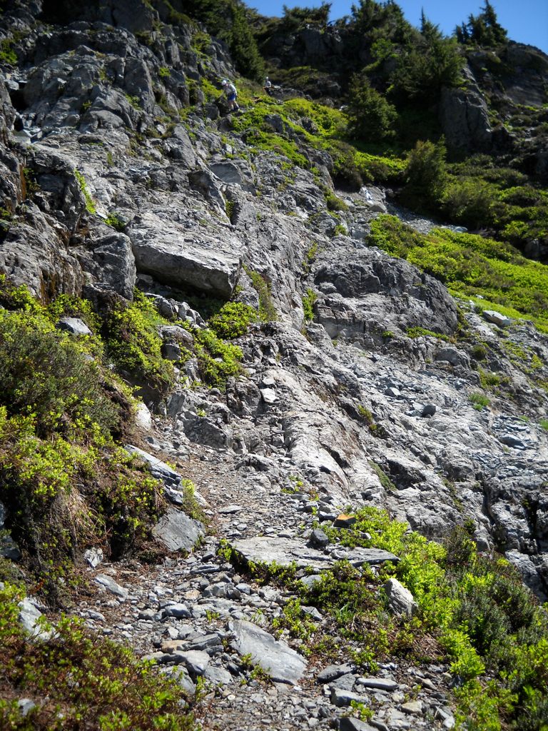 DSCN0430