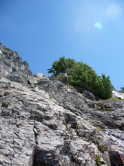 P1000945