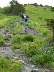 DSCN0478