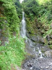 P1000952