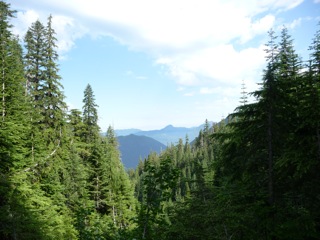 P1000956