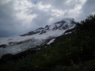 DSCN0481