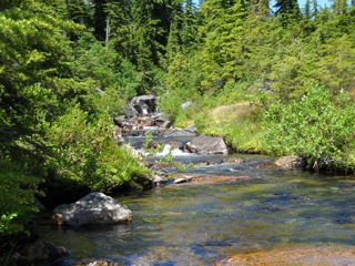 DSCN0356