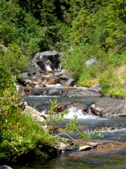 DSCN0358