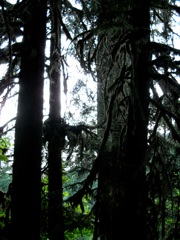 DSCN0341