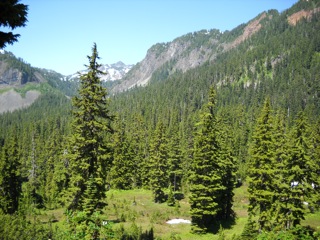 DSCN0368