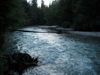 DSCN0344