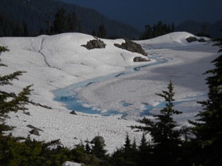 DSCN0390