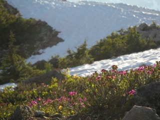 DSCN0394