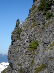 DSCN0423