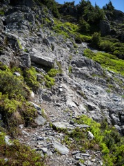 DSCN0430