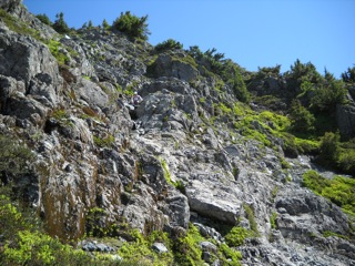 DSCN0431